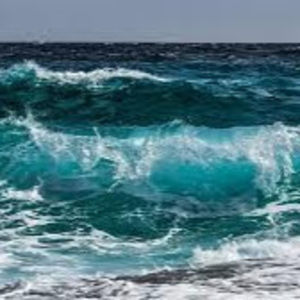 Meet your Posher, Sara-anne